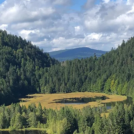 10 Pers Sauna & La Taniere Des Vosges Dağ evi