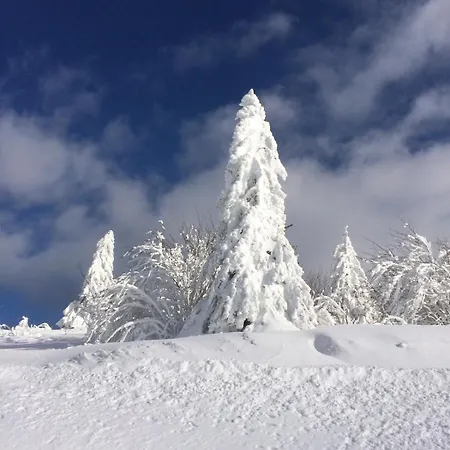 10 Pers Sauna & La Taniere Des Vosges La Bresse