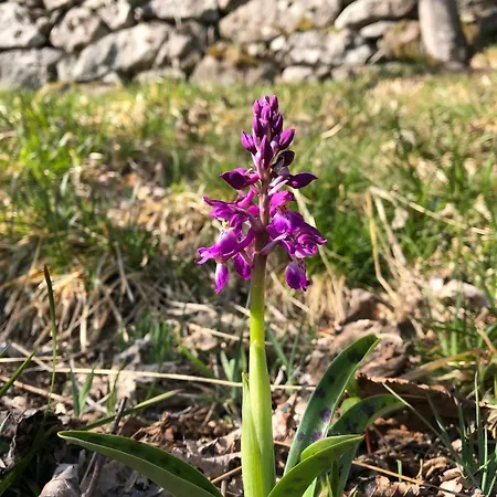 10 Pers Sauna & La Taniere Des Vosges La Bresse