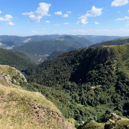 10 Pers Sauna & La Taniere Des Vosges Chalé *
