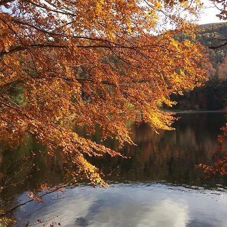 10 Pers Sauna & La Taniere Des Vosges Chalé La Bresse