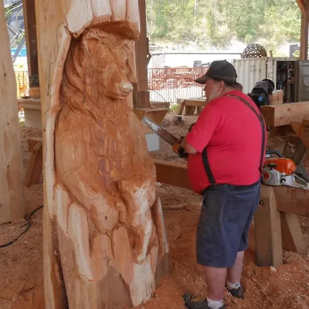 10 Pers Sauna & La Taniere Des Vosges * La Bresse