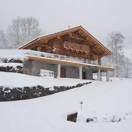 Chalé 10 Pers Sauna & La Taniere Des Vosges *