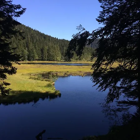 10 Pers Sauna & La Taniere Des Vosges La Bresse