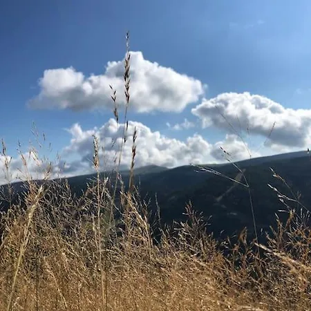 10 Pers Sauna & La Taniere Des Vosges