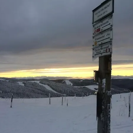 10 Pers Sauna & La Taniere Des Vosges Шале *