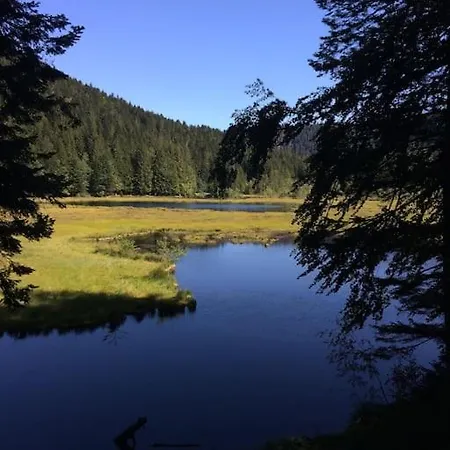 10 Pers Sauna & La Taniere Des Vosges La Bresse