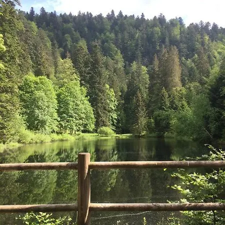 Шале 10 Pers Sauna & La Taniere Des Vosges *