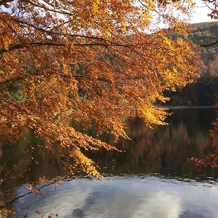 10 Pers Sauna & La Taniere Des Vosges Шале