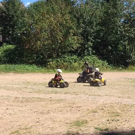 Шале 10 Pers Sauna & La Taniere Des Vosges