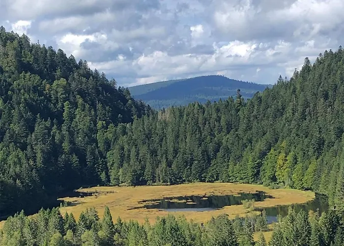 10 Pers Sauna&spa La Tanière Des Vosges Chalet