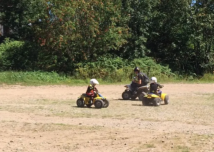 Chalet 10 Pers Sauna&spa La Tanière Des Vosges *