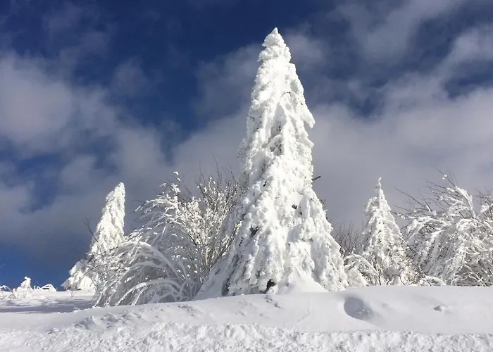 10 Pers Sauna&spa La Tanière Des Vosges La Bresse