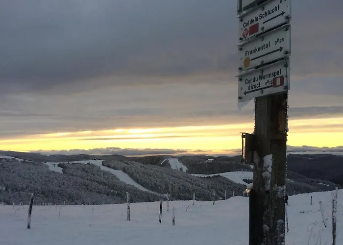 Chalet 10 Pers Sauna&spa La Tanière Des Vosges La Bresse