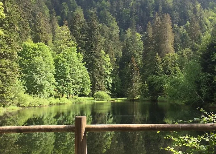 Horská chata 10 Pers Sauna & La Taniere Des Vosges *