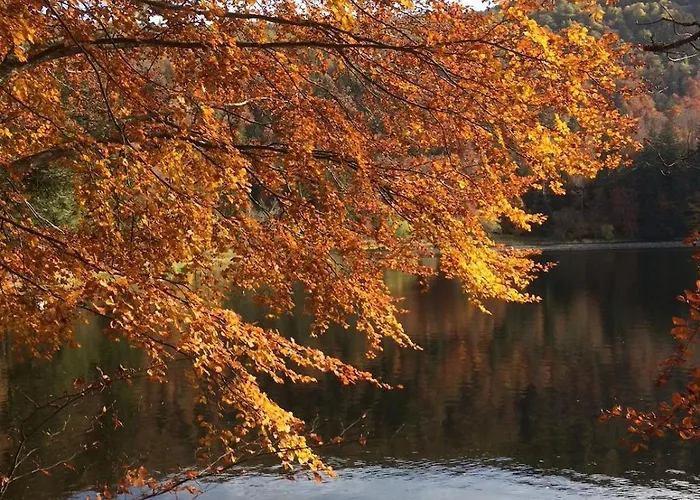 10 Pers Sauna&spa La Tanière Des Vosges Chalet La Bresse