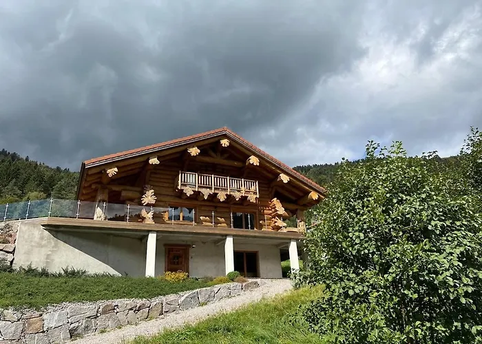 10 Pers Sauna&spa La Tanière Des Vosges *