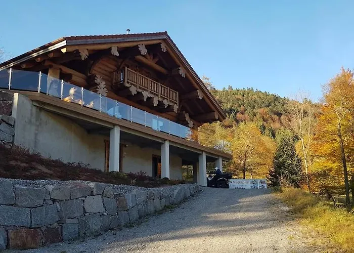 10 Pers Sauna&spa La Tanière Des Vosges La Bresse