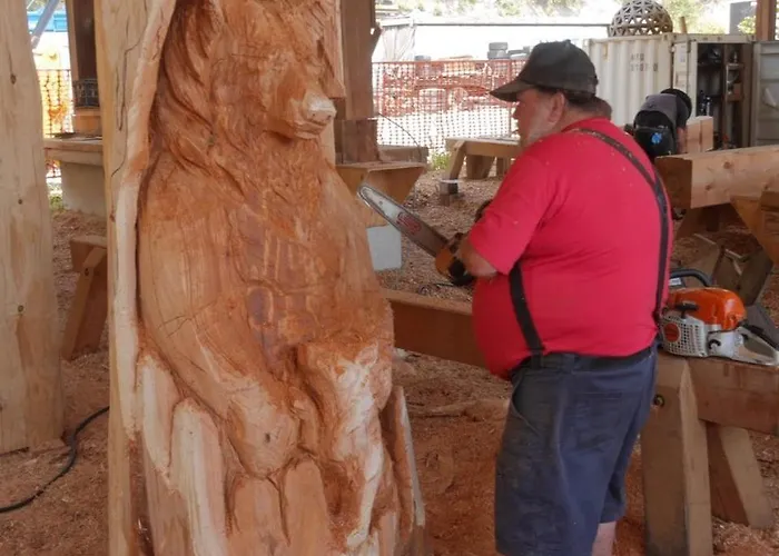 10 Pers Sauna & La Taniere Des Vosges * La Bresse