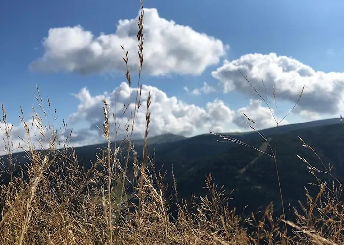 Chalet 10 Pers Sauna&spa La Tanière Des Vosges