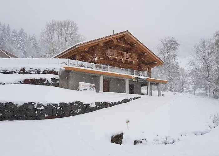 Chalet 10 Pers Sauna&spa La Tanière Des Vosges *