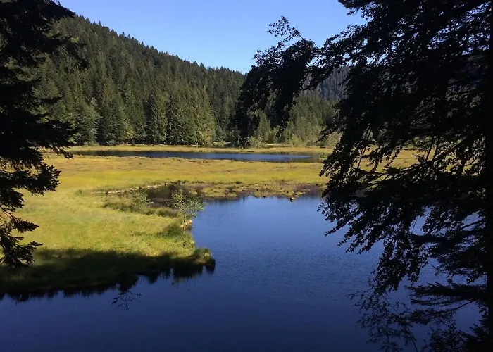 10 Pers Sauna&spa La Tanière Des Vosges La Bresse