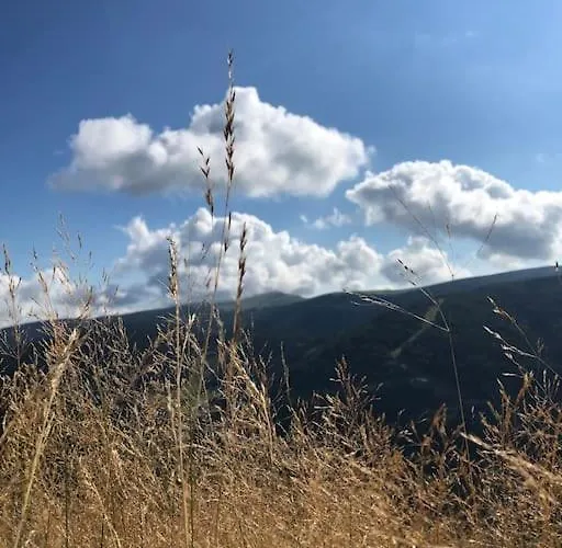 10 Pers Sauna&spa La Tanière Des Vosges