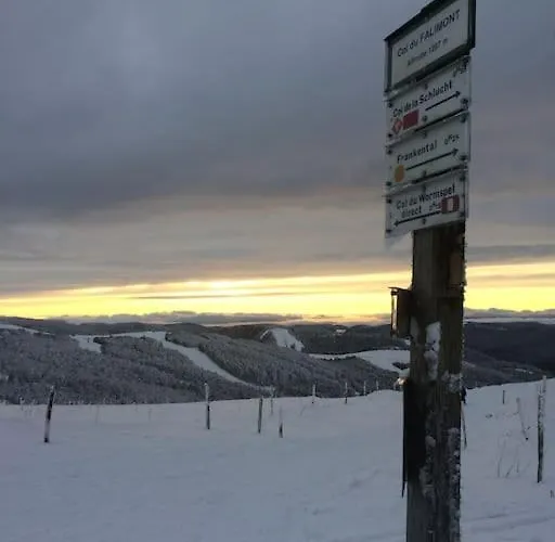 10 Pers Sauna & La Taniere Des Vosges Horská chata *