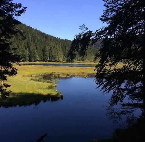 10 Pers Sauna&spa La Tanière Des Vosges La Bresse
