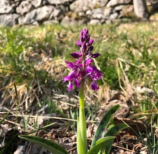 10 Pers Sauna & La Taniere Des Vosges Horská chata