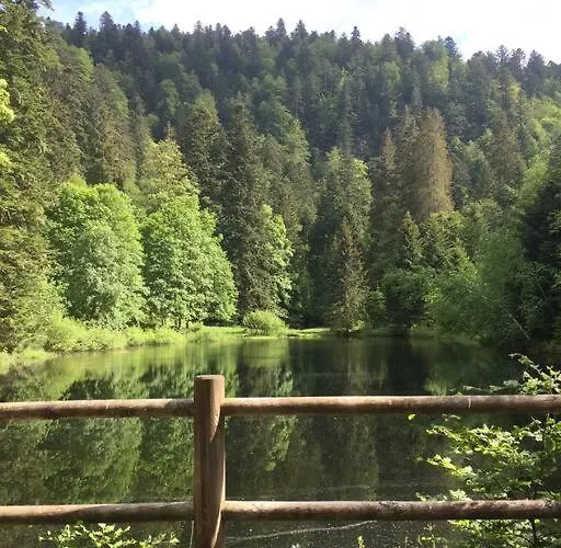 Chalet 10 Pers Sauna&spa La Tanière Des Vosges *