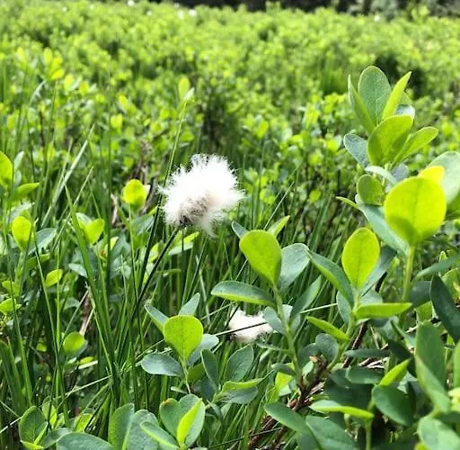 10 Pers Sauna & La Taniere Des Vosges *