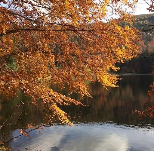10 Pers Sauna & La Taniere Des Vosges Horská chata