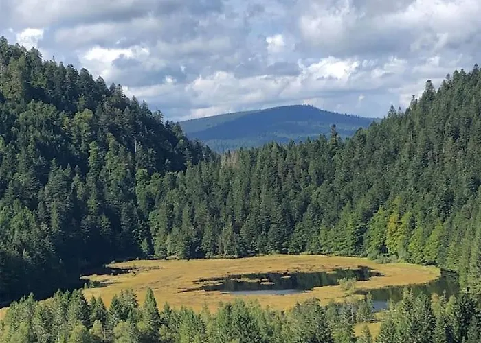10 Pers Sauna&spa La Tanière Des Vosges *