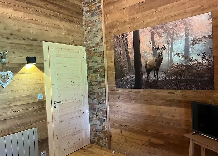 10 Pers Sauna&spa La Tanière Des Vosges Chalet